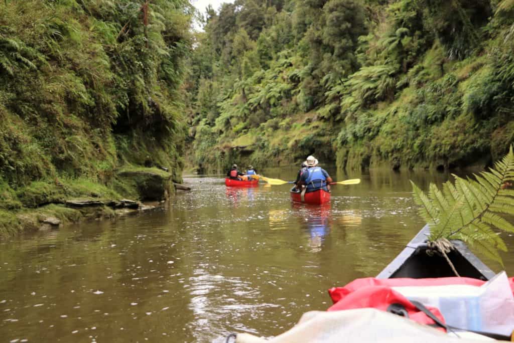 Canoe the Whanganui River