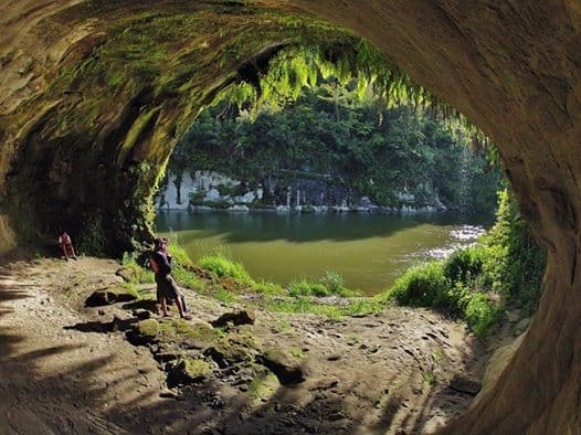 Whanganui River Trips